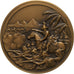 France, Médaille, Napoléon Ier, Bataille des Pyramides, 1991, Bronze, SUP