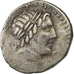 Gargilius, Ogulnius, & Vergilius, Denarius, 86 BC, Rome, Silver, VF(30-35)