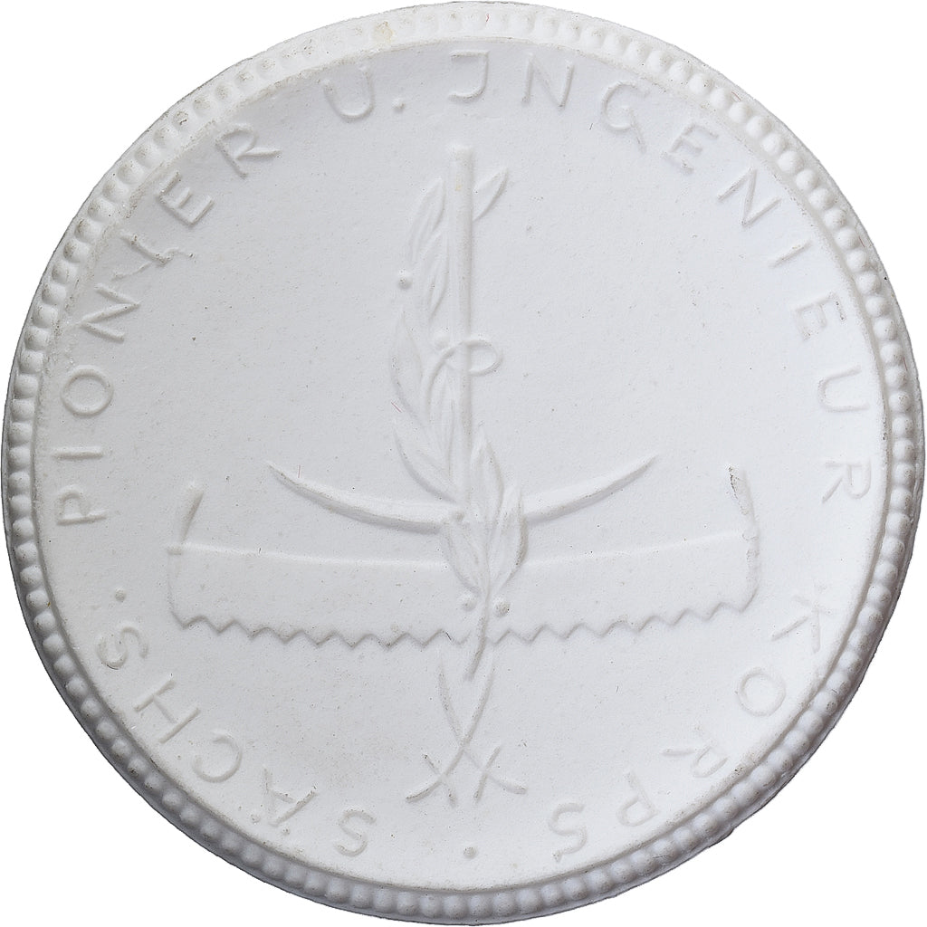 GERMANIA, REPUBBLICA DI WEIMAR, medaglia, Pioner U.Jngenieur korps, 1923