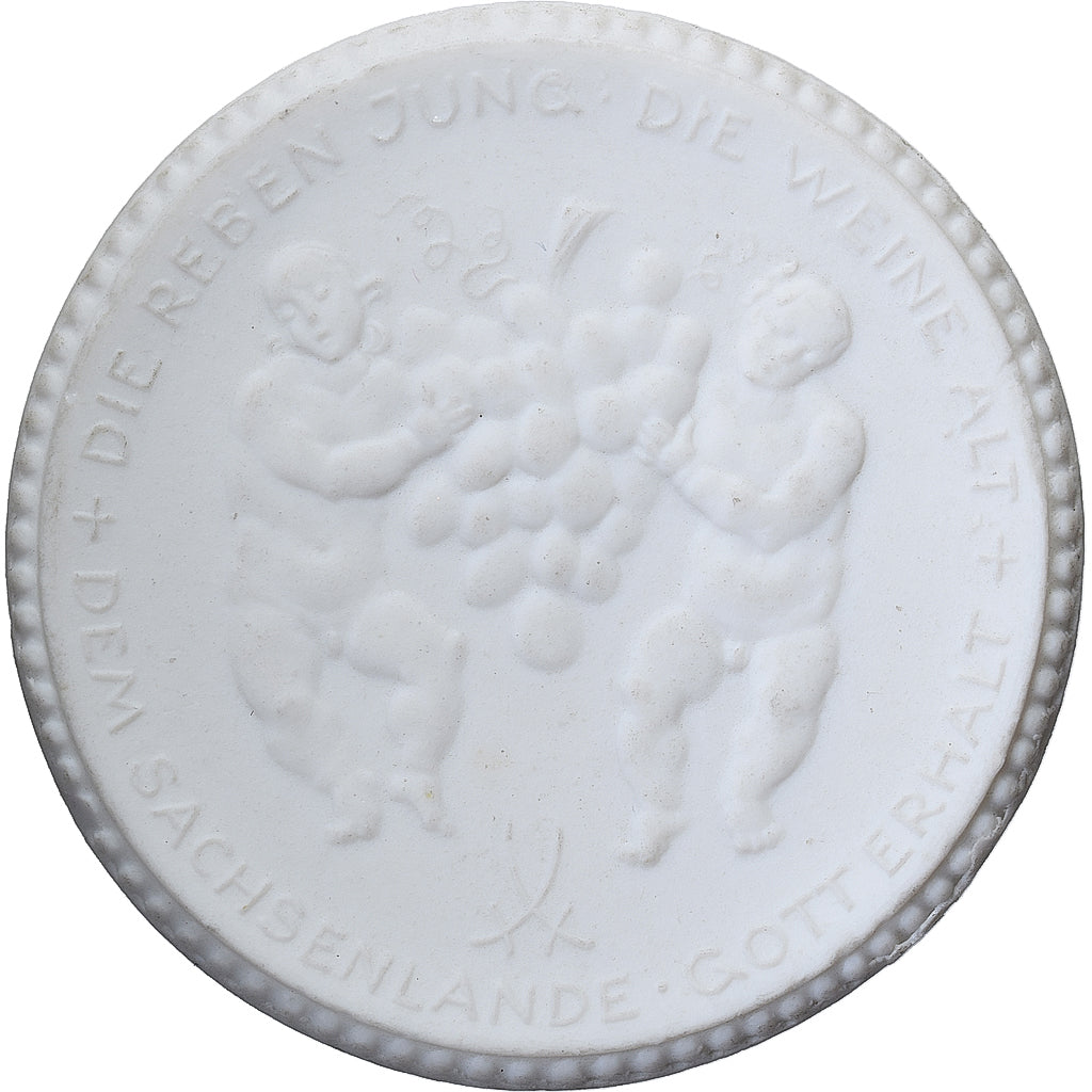 Germania, medaglia, Oberlosnitz, Weinbaugenossenschaft, 1922, Porcellana, SPL
