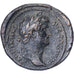 Hadrian, As, 137-138, Rome, Bronze, EF(40-45), RIC:2414