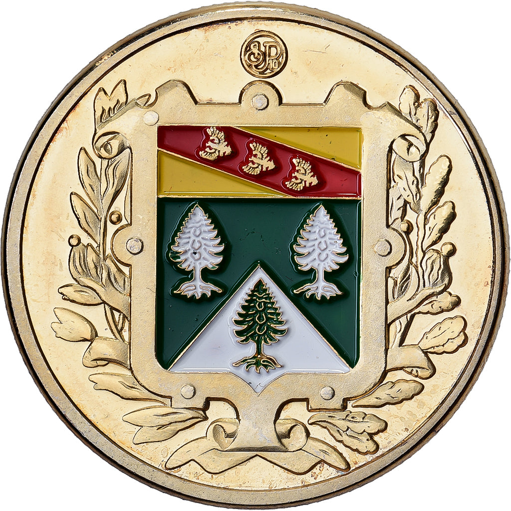 Frankreich, Medaille, Les Vosges, Gilt steel, Colourized, UNZ