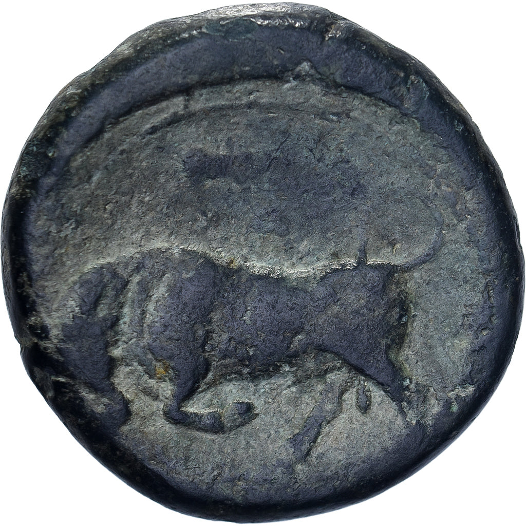 Sicily, Hieron II, Hemilitron, ca. 275-215 BC, Syracuse, Bronze, S+, HGC:2-1469