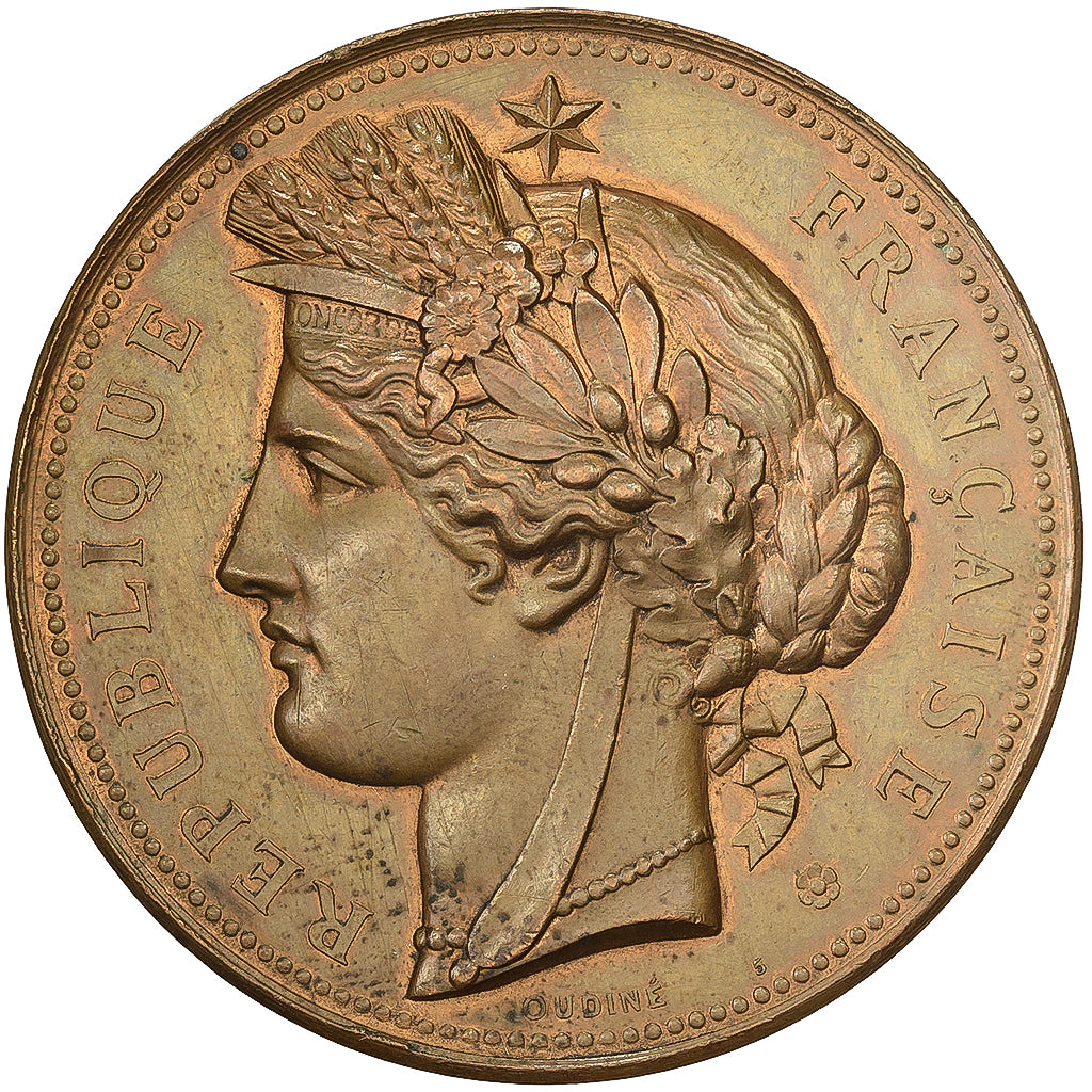 Francia, medaglia, Exposition universelle de Paris, 1878, Bronzo