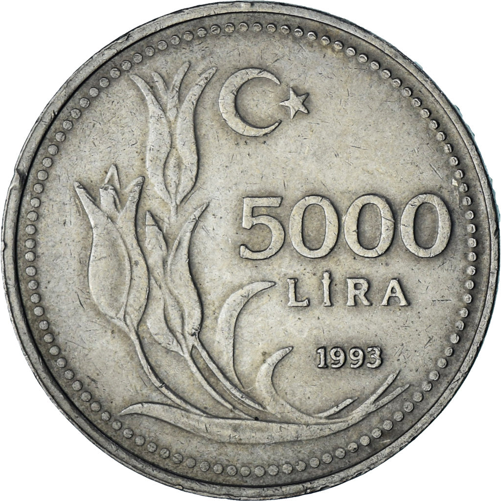 Türkei, 5000 Lira, 1993