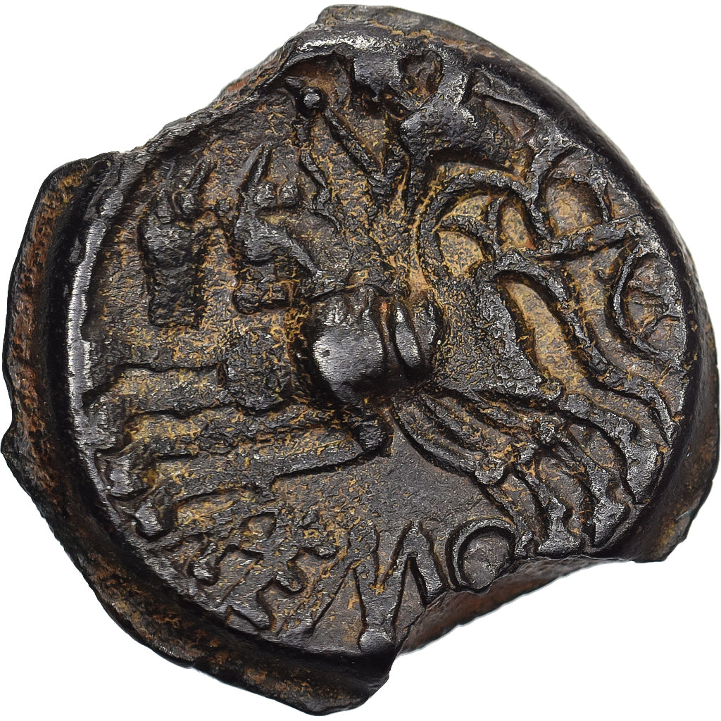 Remi, Potin, 90-50 BC, Bronze, EF(40-45), Delestrée:593