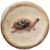 Siam, Jeton, Tortue, Colorisé, Porcelaine, SUP