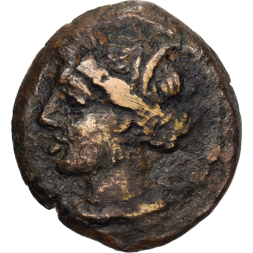 Zeugitana, Æ Unit, 300-264 BC, Uncertain mint, Bronze, F(12-15)