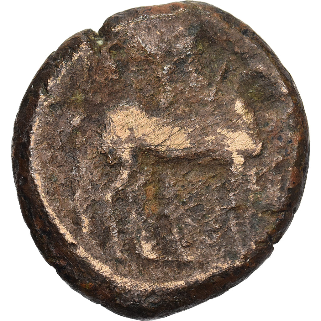 Zeugitana, Æ Unit, 300-264 BC, Uncertain mint, Bronze, F(12-15)