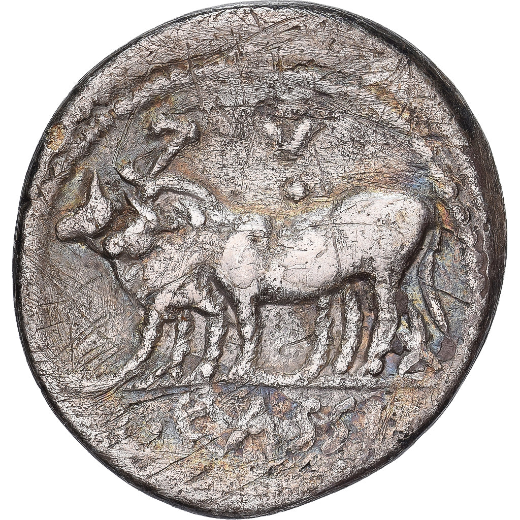 Cassia, Denarius, 102 BC, Rome, Silber, S, Crawford:321/1