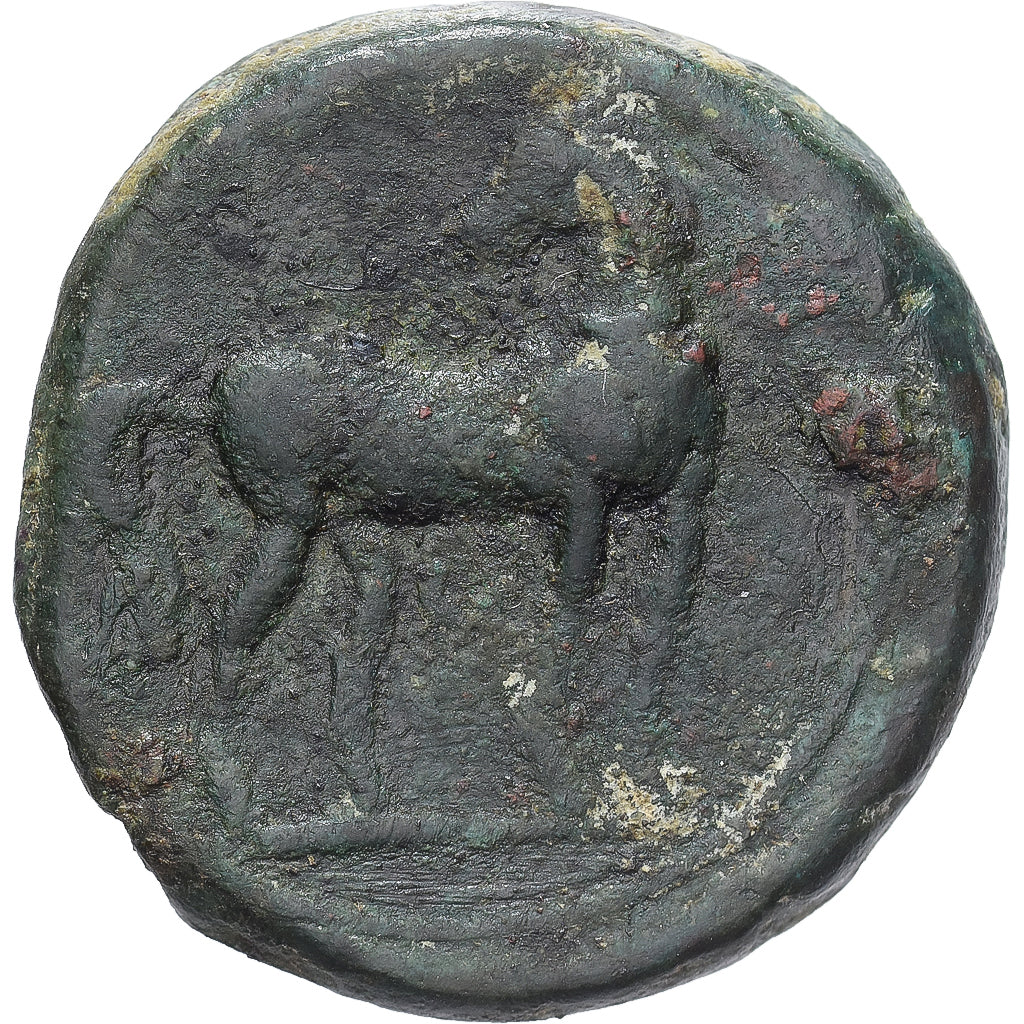 Zeugitana, Æ Unit, c. 221-210 BC, Carthage, Bronzo, MB