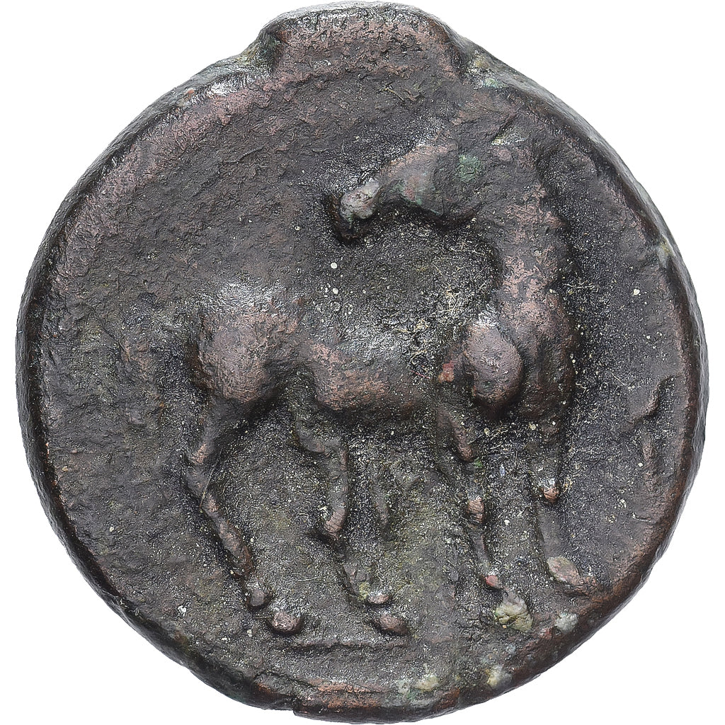 Zeugitana, Æ Unit, 215-212 BC, Carthage, Bronzo, MB