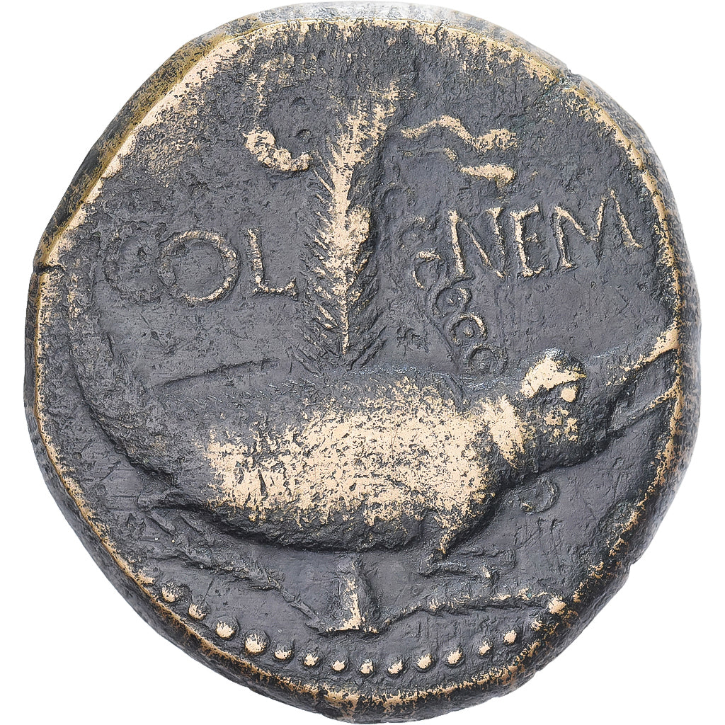 Augustus & Agrippa, As, 9-3 BC, Nemausus, Brązowy, VF(30-35), RIC:158