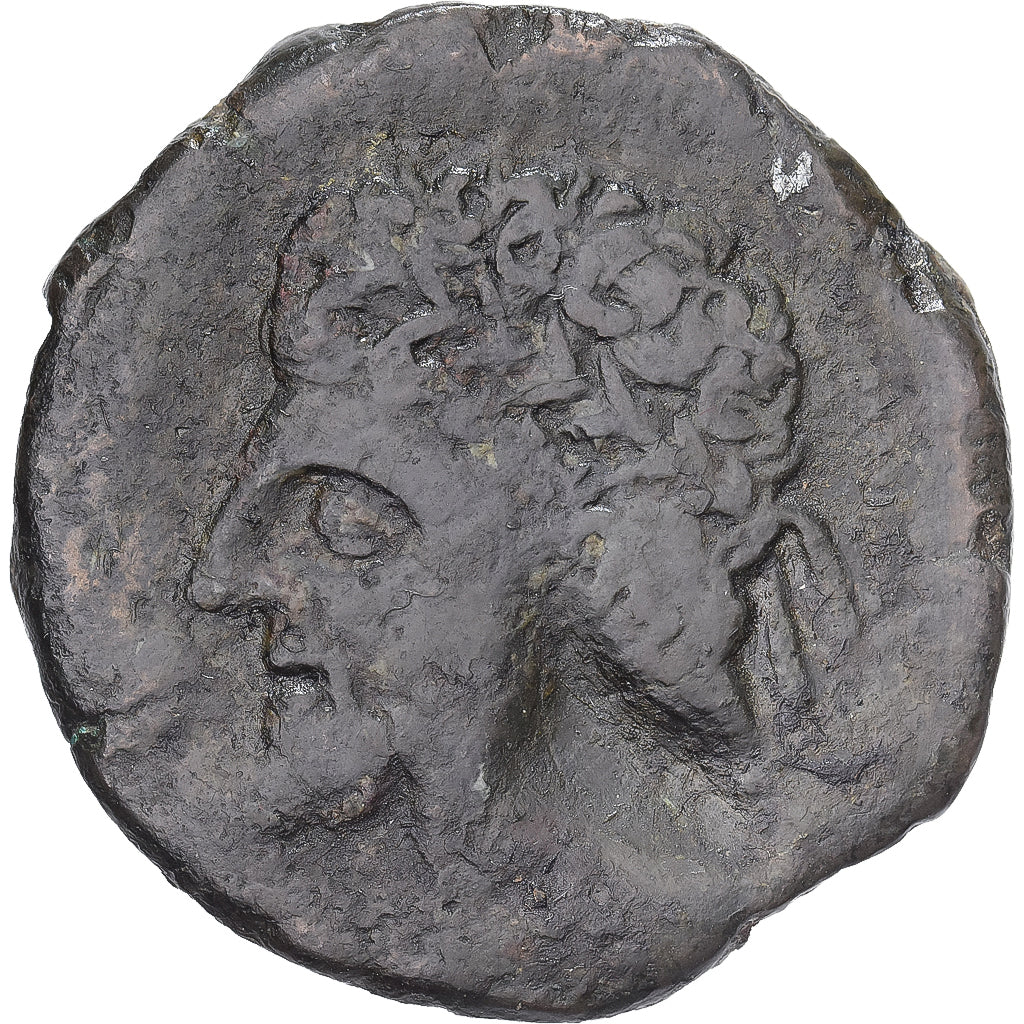 Numidia (Kingdom of), Massinissa or Micipsa, Æ Unit, 202-148 BC, Bronzen, ZG+
