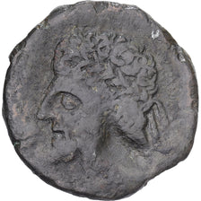 Numidia (Kingdom of), Massinissa or Micipsa, Æ Unit, 202-148 BC, Bronze