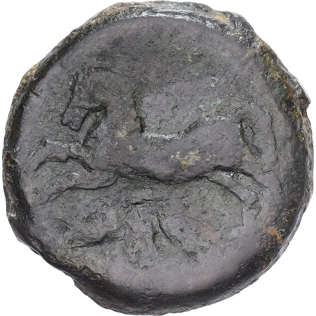 Numidia (Kingdom of), Massinissa or Micipsa, Æ Unit, 202-148 BC, Bronzen, ZG+