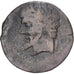 Numidia (Kingdom of), Massinissa or Micipsa, Æ Unit, 202-148 BC, Bronzen, FR