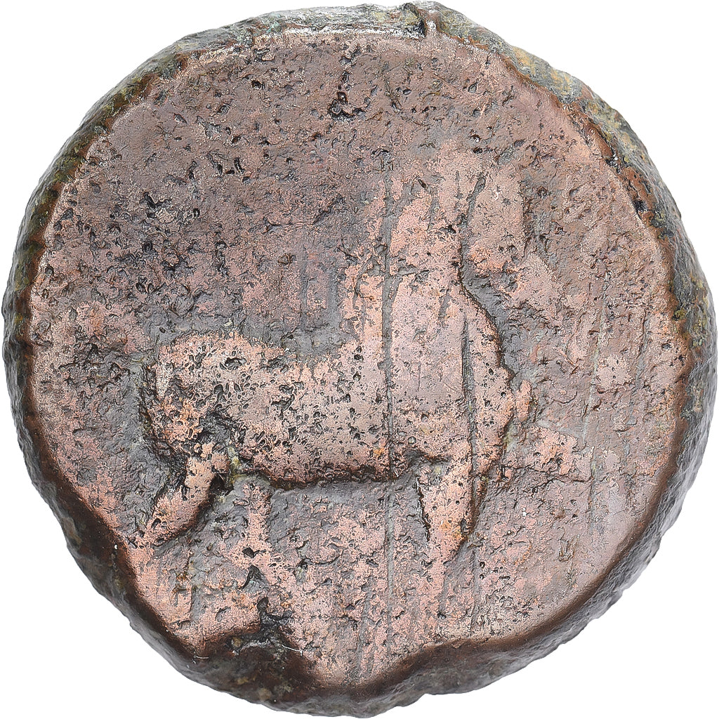 Zeugitana, Æ Unit, 4th century BC, Carthage, Bronzen, ZG+