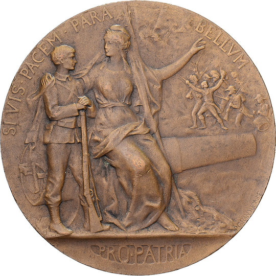 Médailles de collection en bronze