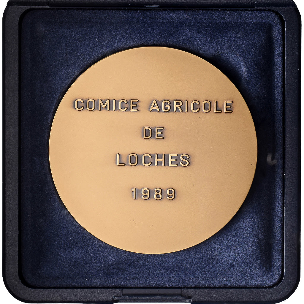 Frankreich, Medaille, 1989, Bronze Florentin, Pichard, VZ