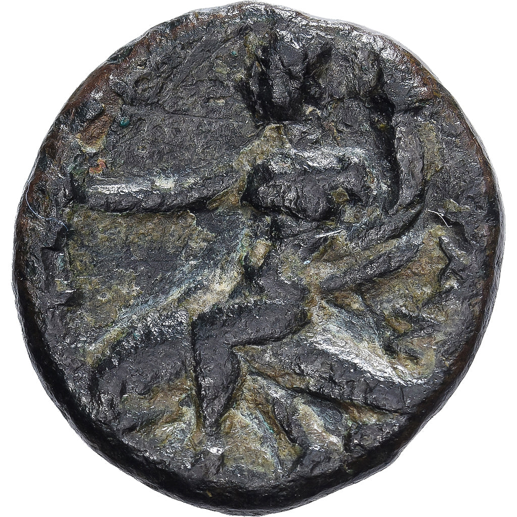Calabria, Æ Unit, ca. 275-200 BC, Tarentum, Bronze, VF(20-25), HGC:1-940, HN