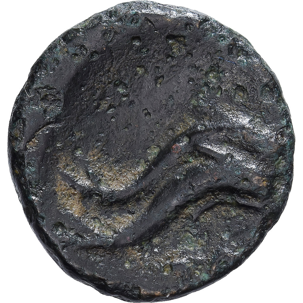 Calabria, Æ Unit, ca. 275-200 BC, Tarentum, Brązowy, VF(20-25), HN Italy:1088