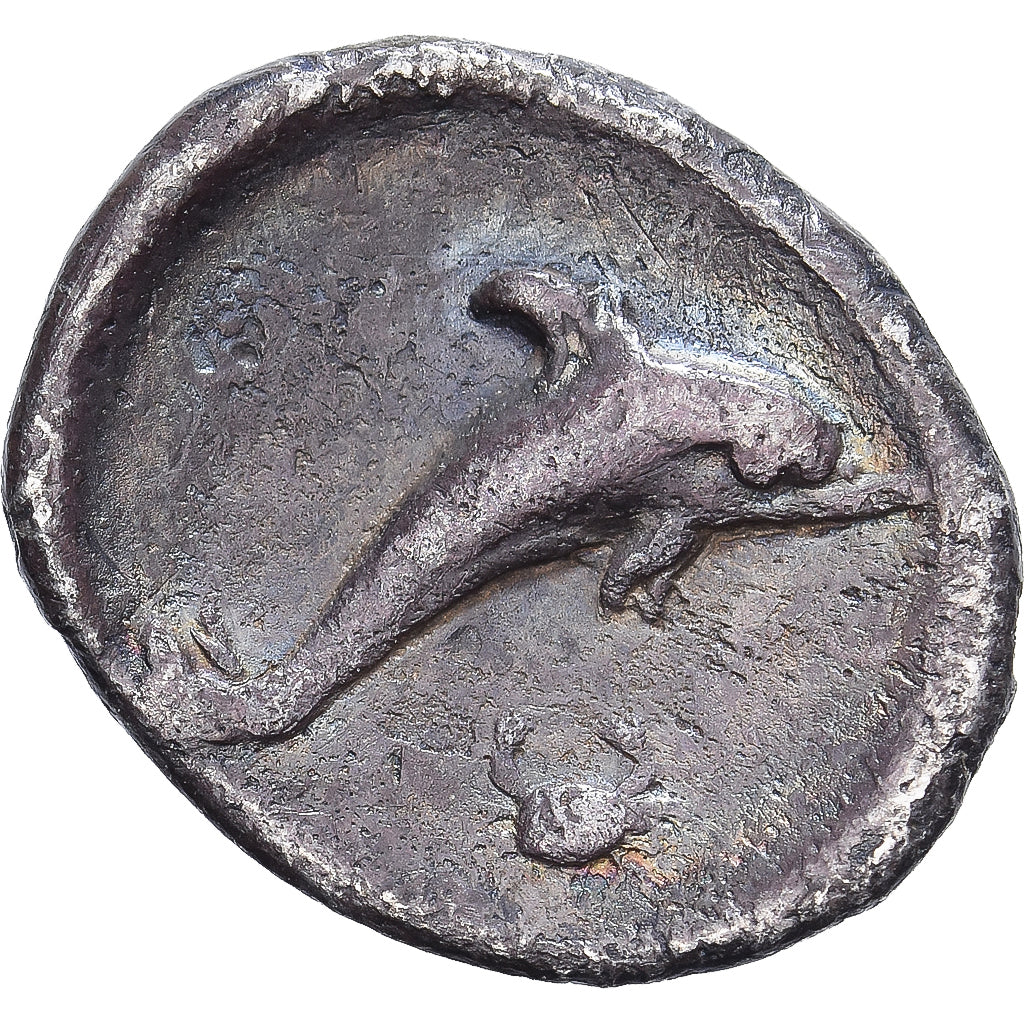 Calabria, Litra, 325-280 BC, Tarentum, Brązowy, VF(20-25), HN Italy:979