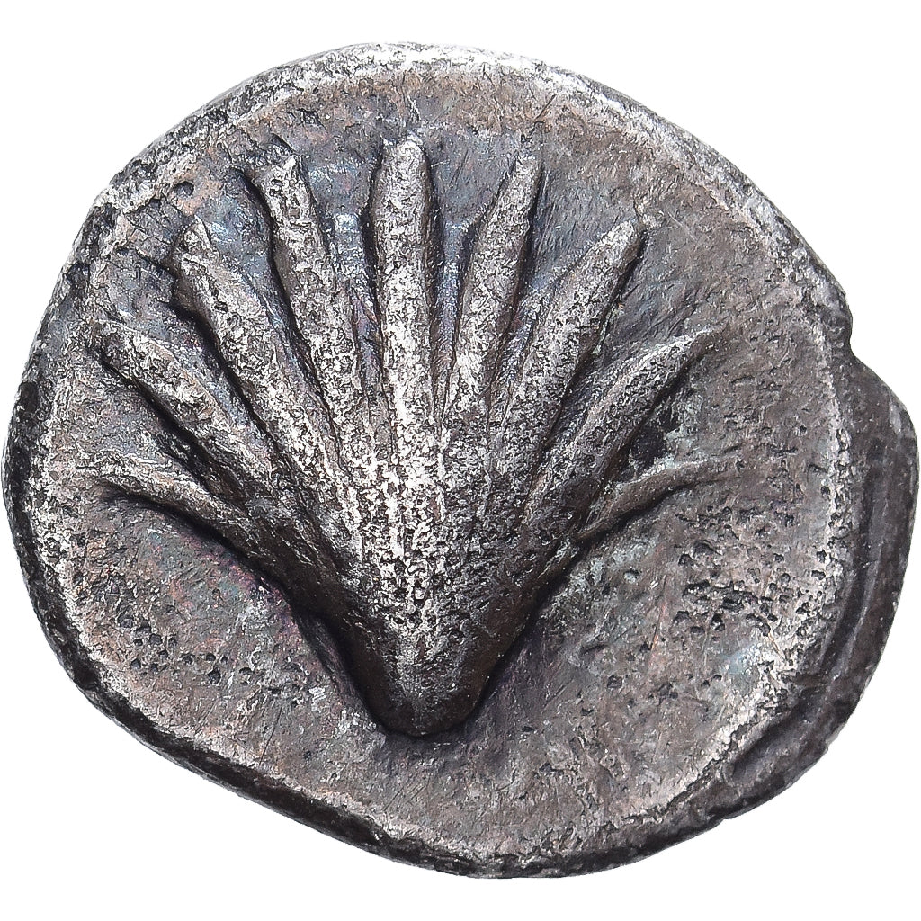Calábria, Litra, 450-430 BC, Tarentum, Bronze, VF(30-35), HGC:1-843, HN