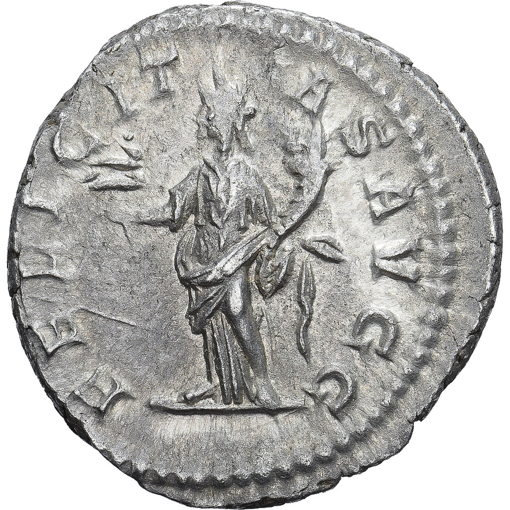 Roman Empire, Septimius Severus, Denarius, 202-210, Rome, Silver, AU(55-58)