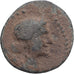 Galatia, Amyntas, Æ Unit, 39-25 BC, Uncertain mint, Brązowy, VF(20-25)