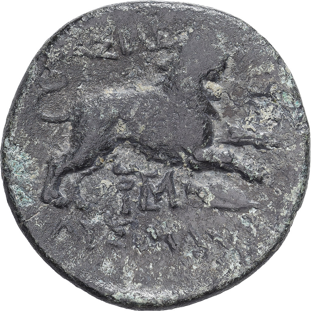 Trácia, Lysimachos, Æ Unit, ca. 306-300 BC, Lysimacheia, Bronze, VF(20-25)
