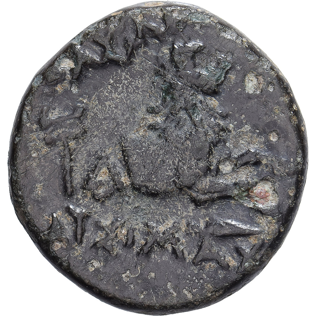 Trácia, Lysimachos, Æ Unit, ca. 306-300 BC, Lysimacheia, Bronze, VF(20-25)