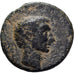 Asia Minor, Augustus, Æ Unit, 30 BC, Bronze, VF(20-25), RPC:I-5410