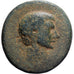Asia Minor, Augustus, Æ Unit, 30 BC, Bronze, F(12-15), RPC:I-5410