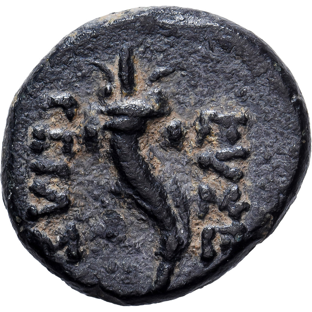 Cappadocia, Æ Unit, ca. 96-63 BC, Caesareia-Eusebia, Bronze, S, HGC:7-866