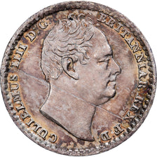 United Kingdom, William IV, 1 Penny, Maundy, 1832, London, Prooflike, Silver