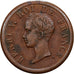 França, Henri V, 1/2 Franc, 1833, Bronze, VF(20-25)