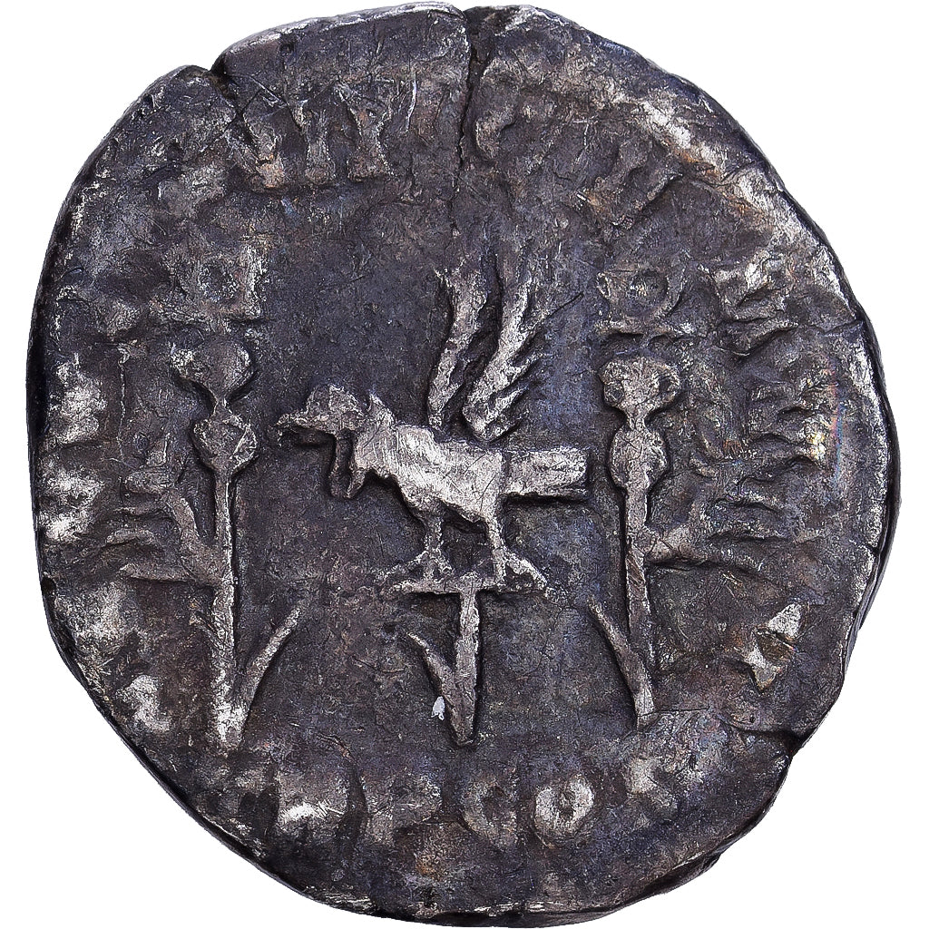 Roman Empire, Septimius Severus, Denarius, 193-194, Rome, Argento, MB, RIC:14