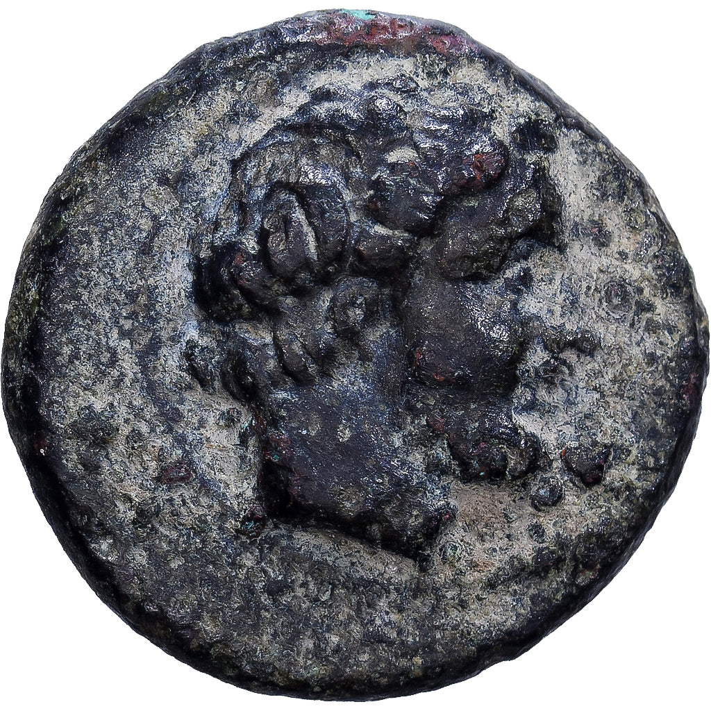 Thessalie, Æ Unit, IV-IIIe s. av. J.-C., Phalanna, Bronze, B+