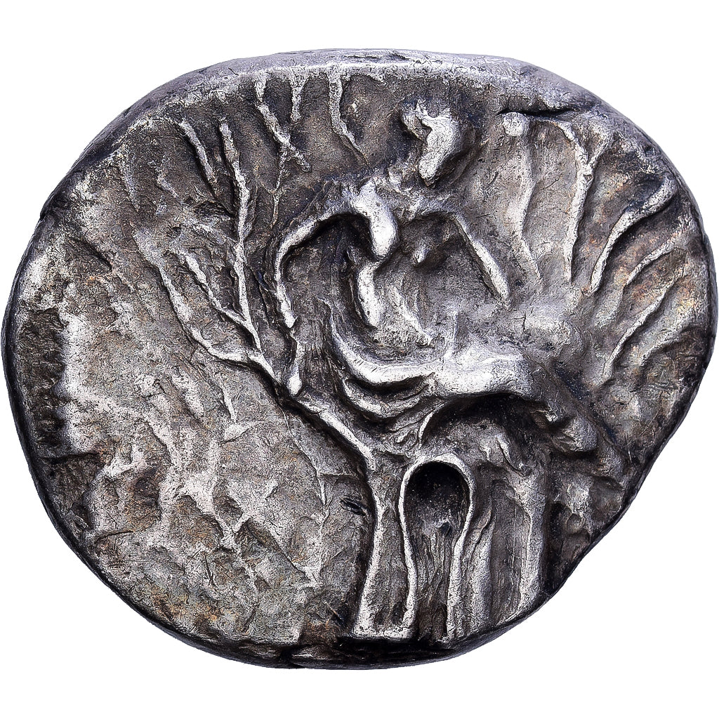 Crete, Stater, 330-270 BC, Gortyna, Plata, MBC
