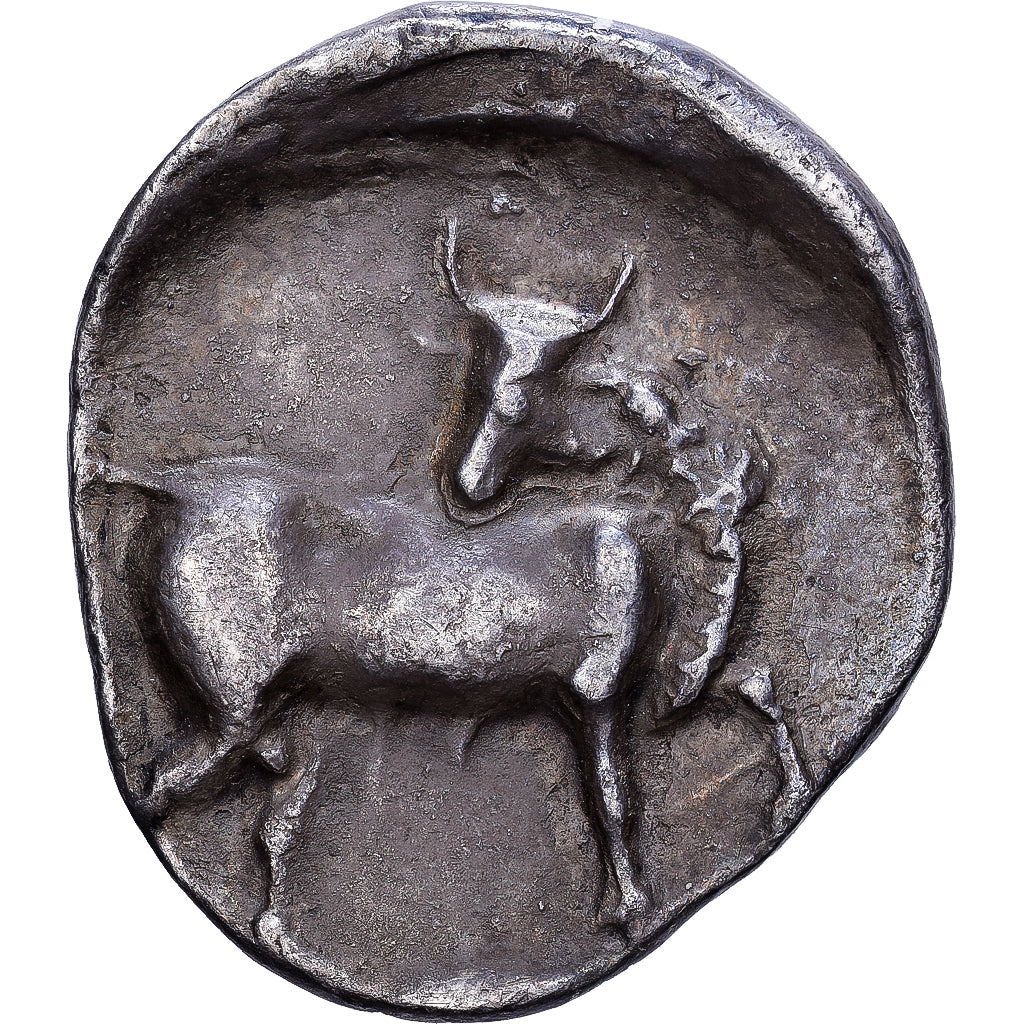 Crete, Stater, 330-270 BC, Gortyna, Plata, MBC