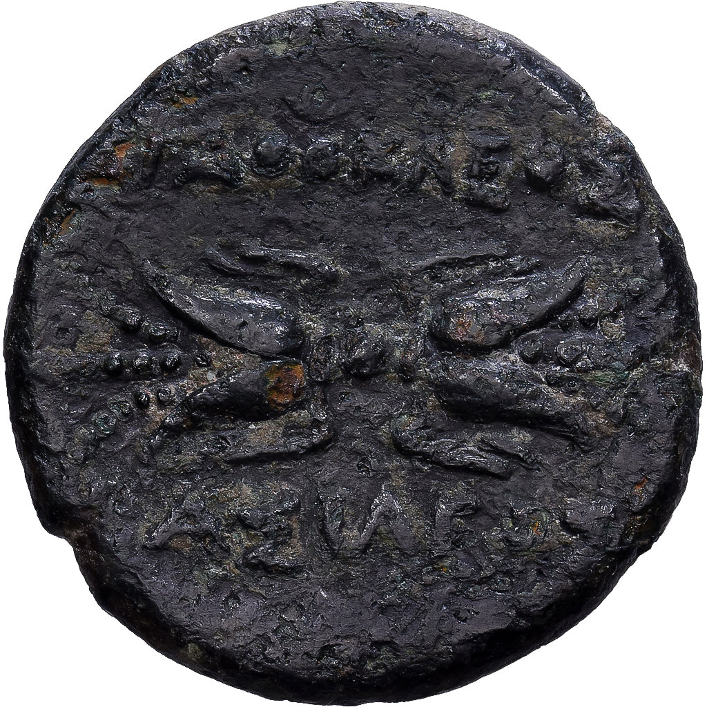 Sicily, Agathokles, Æ Unit, 304-289 BC, Syracuse, Bronze, VF(20-25), HGC:2-1537