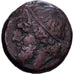 Sicília, Hieron II, Tetras, 240-215 BC, Syracuse, Bronze, VF(20-25), HGC:2-1550