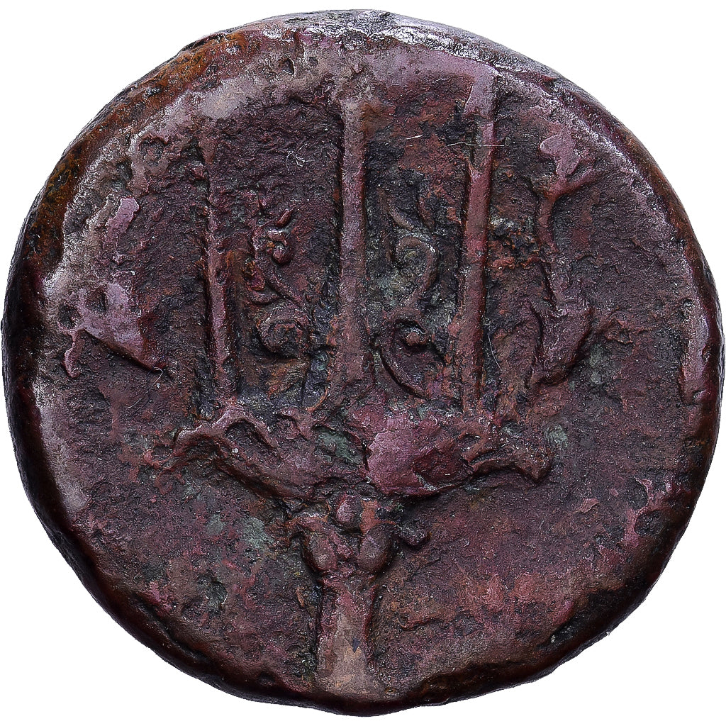 Sicília, Hieron II, Tetras, 240-215 BC, Syracuse, Bronze, VF(20-25), HGC:2-1550