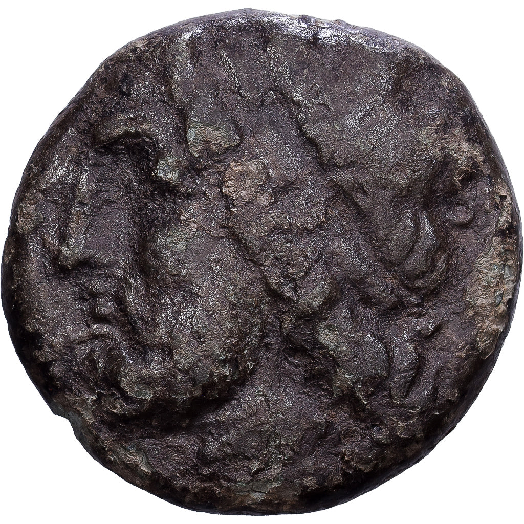 Sicily, Hieron II, Æ Unit, 240-215 BC, Syracuse, Bronze, VF(20-25), HGC:2-1550
