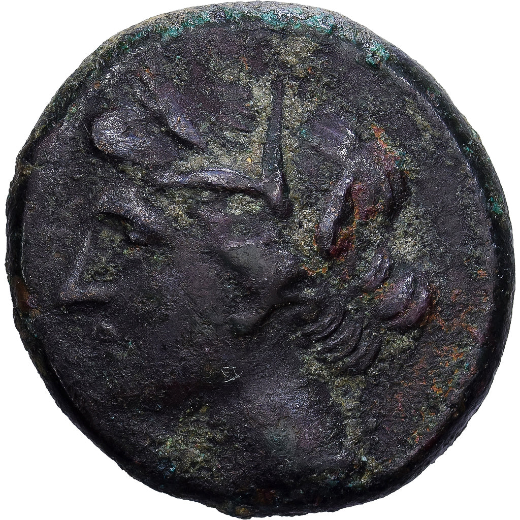 Sicily, Hieron II, Æ Unit, 274-216 BC, Syracuse, Bronzo, MB, HGC:2-1497