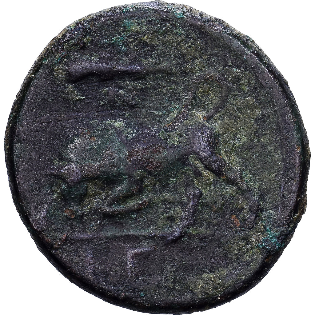 Sicily, Hieron II, Æ Unit, 274-216 BC, Syracuse, Bronzo, MB, HGC:2-1497
