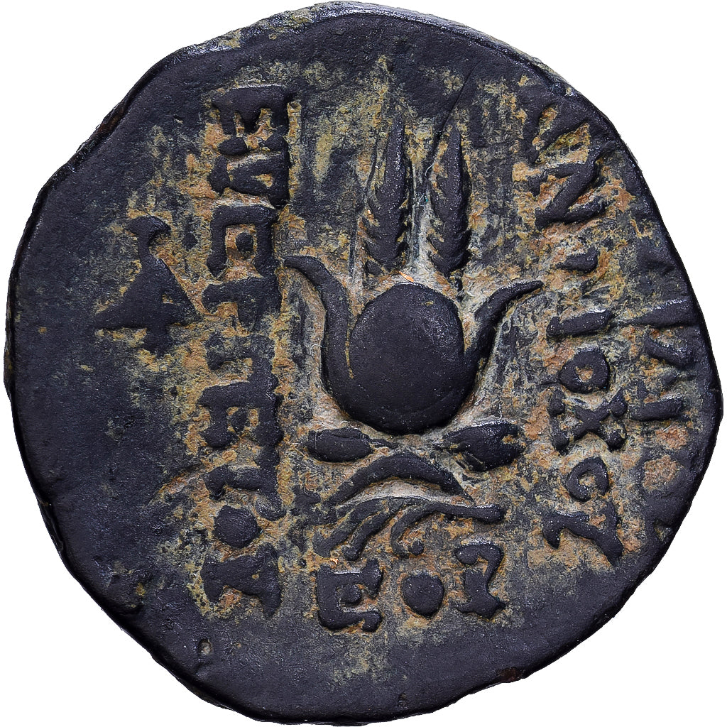 Royaume Séleucide, Antiochos VII Evergete, Æ Unit, v. 138-129 av. J.-C, Antioche