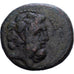 Phoenicia, Æ Unit, 2nd century BC, Aradus, Bronze, VF(20-25), HGC:10-88