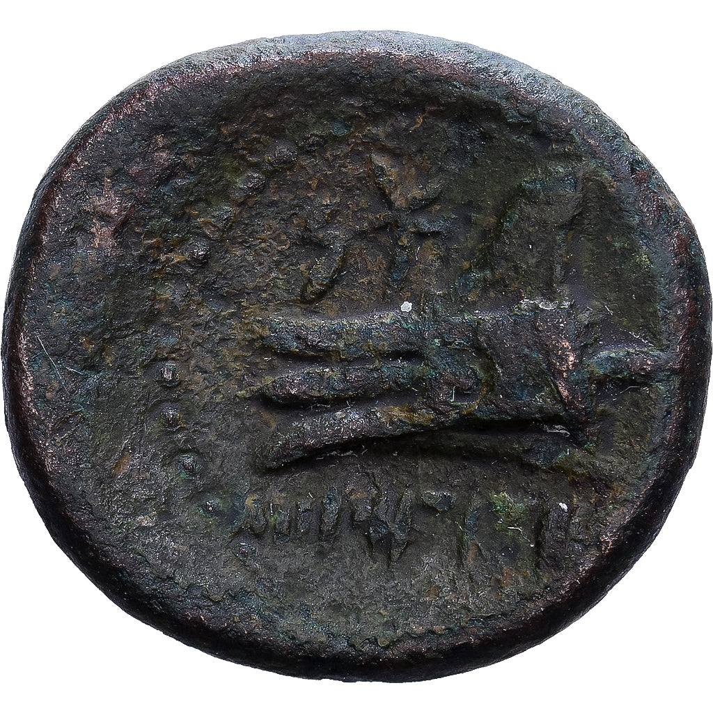 Phoenicia, Æ Unit, 2nd century BC, Aradus, Bronze, VF(20-25), HGC:10-88
